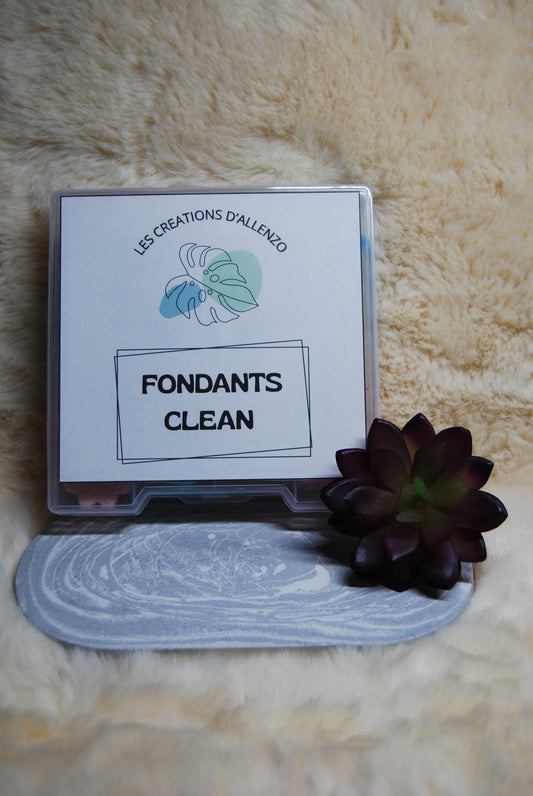 COFFRET CLEAN