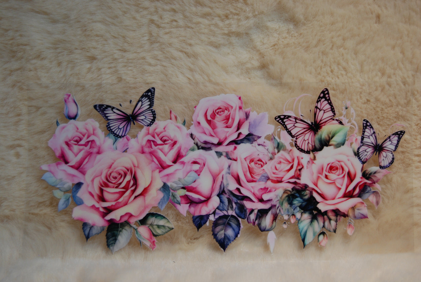 PAPILLONS